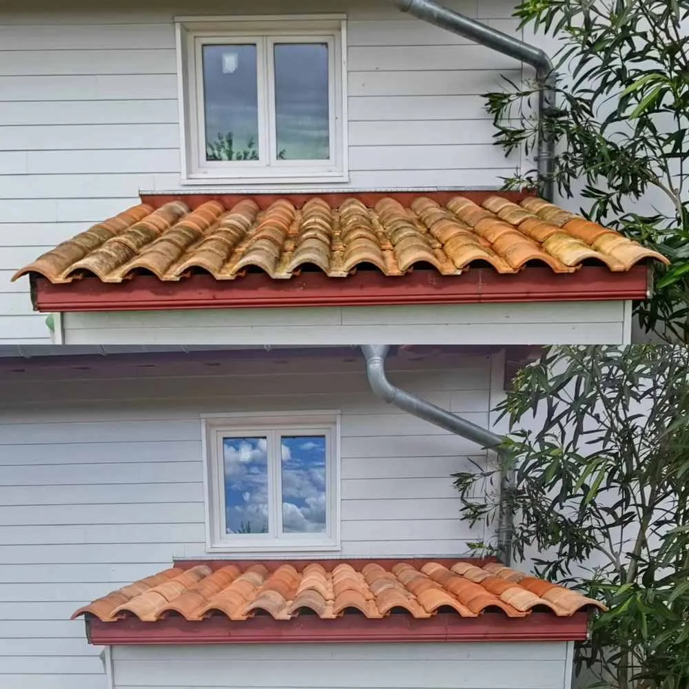Tuiles noircies par les algues — Anglet